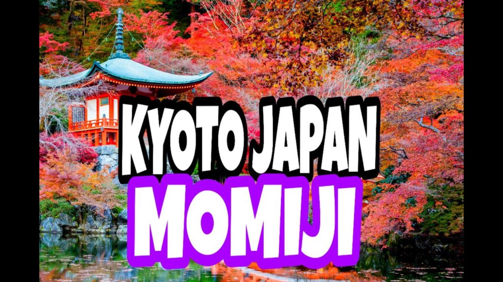 KYOTO JAPAN | TRAVEL GUIDE