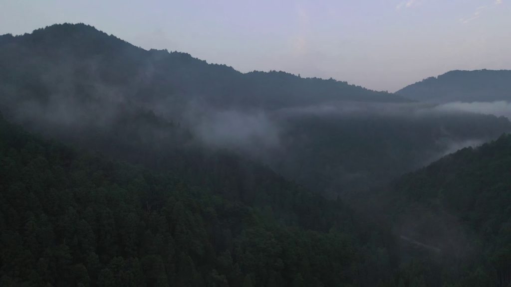 ~京都,2,幻想的,朝霧,早朝,夏,Fantastic morning fog,Kyoto,Japan,summer,2019,August ~京都,2,幻想的,朝霧,早朝,夏,Fantastic morning fog,Kyoto,Japan,summer,2019,August