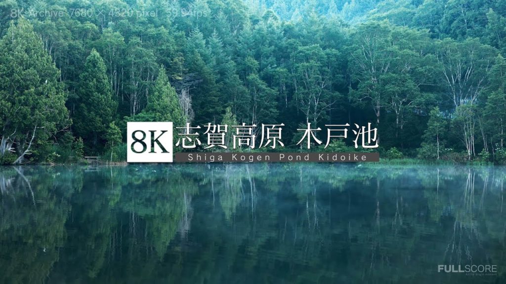[8K footage] Shiga Kogen Pond Kidoike【朝の光差す、志賀高原・木戸池_8K】