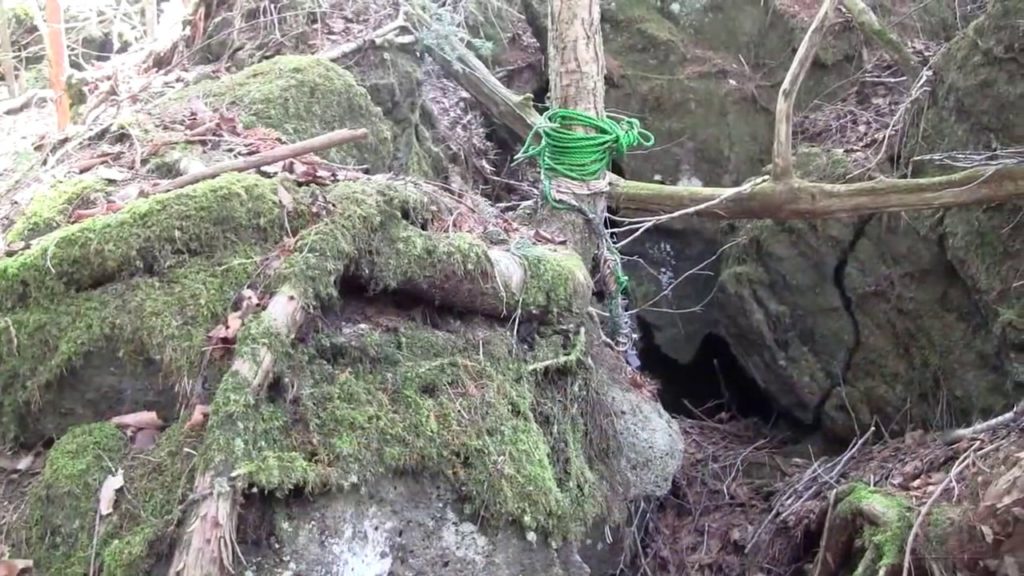 The Woman in the Suicide Forest - Kuroi Jukai, Aokigahara