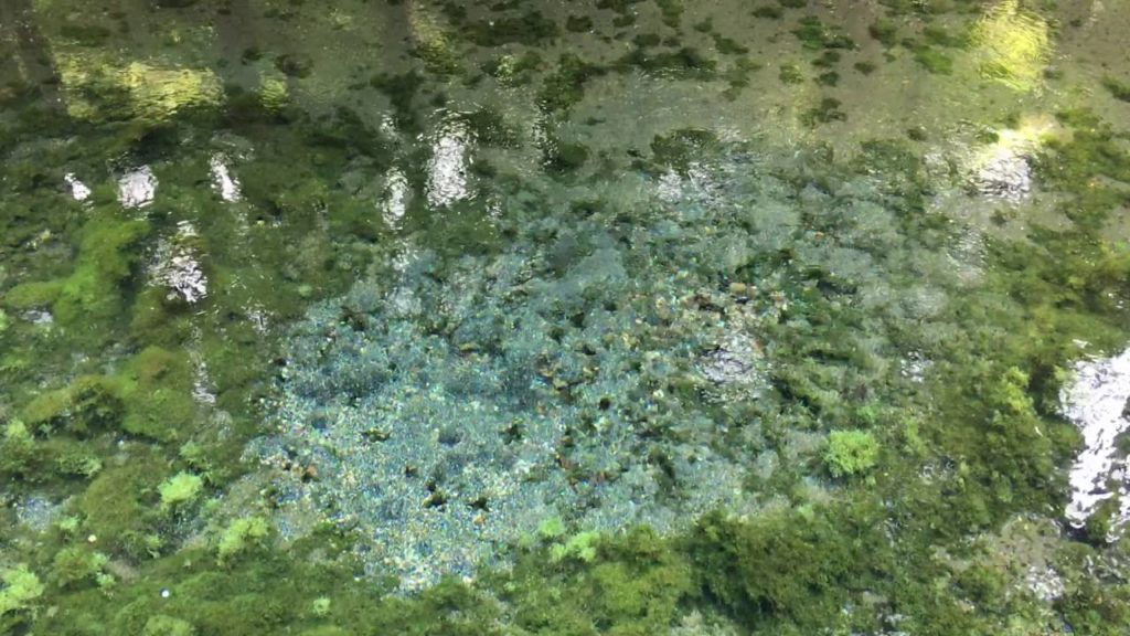 ”SHIRAKAWA-SUIGEN”Shirakawa Spring Source KUMAMOTO JAPAN