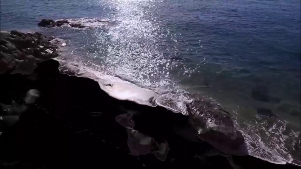 Yakushima Travel Guide 屋久島 Japan