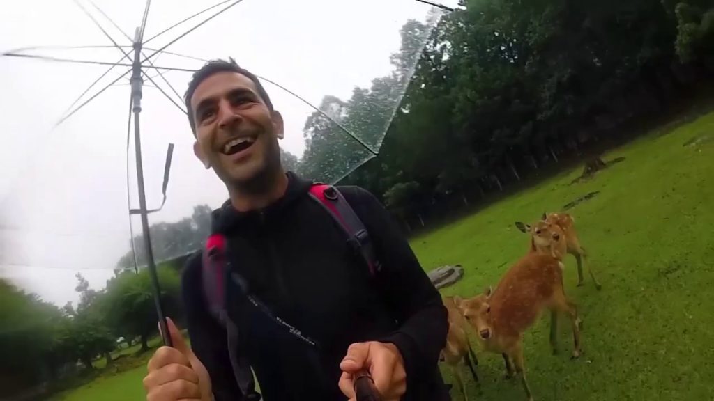 JAPAN 2018 - Tokyo - Kamakura - Hakone - Kyoto - Osaka - Nara - Himeji - Okayama - Hiroshima