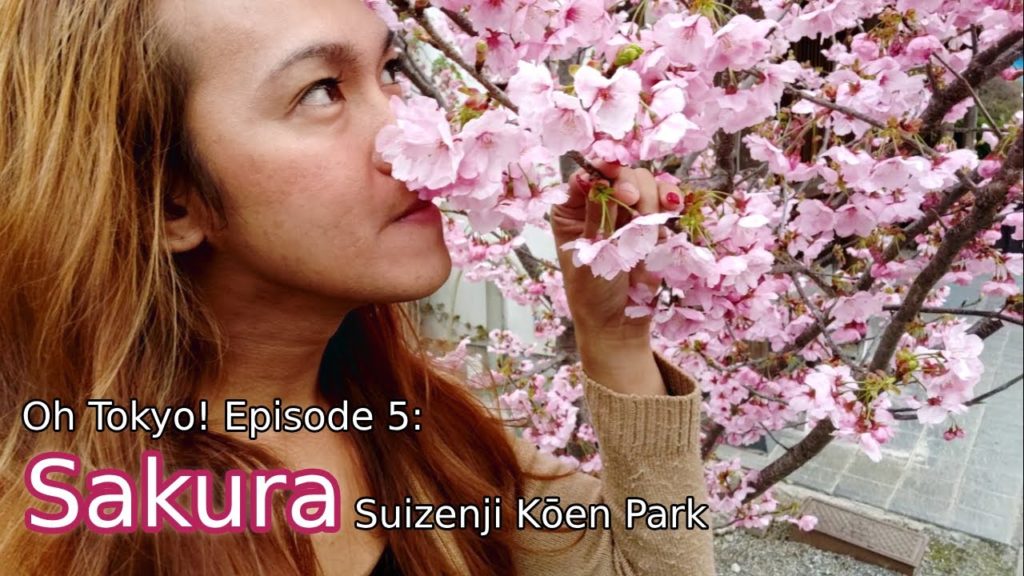 Oh Tokyo! Episode 5: Cherry Blossom at Suizenji Kōen Park