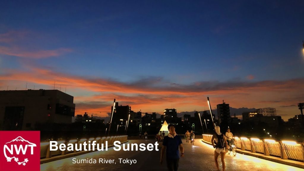 Beautiful Sunset After The Typhoon | Tokyo Sumida River - 4K/Osmo Pocket