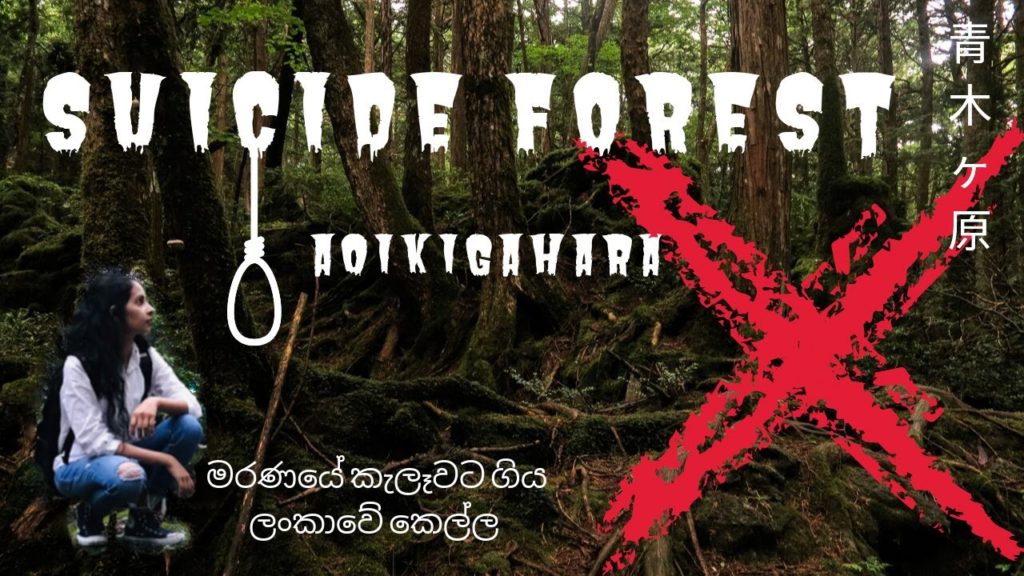 Suicide Forest in Japan – Aoikigahara (青木ヶ原) Suicide Forest in Japan - Aoikigahara (青木ヶ原)