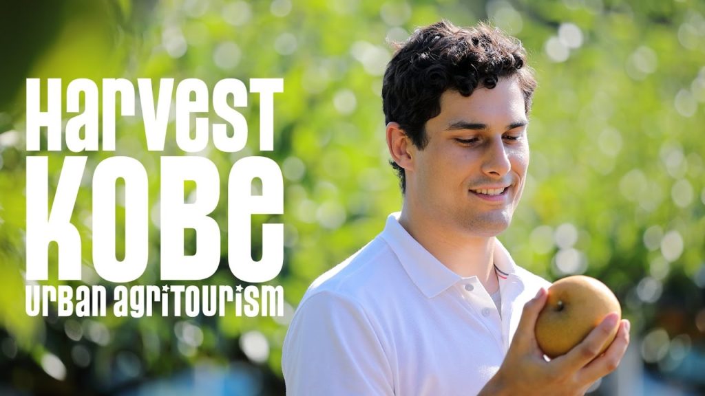 HARVEST KOBE "Kobe Pear" HARVEST KOBE "Kobe Pear"