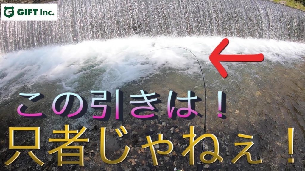 【強烈な引き】北海道恵庭市の川でルアー釣りをした結果…【むじゃき村】