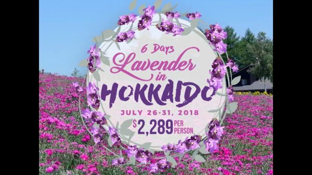 Lavender in Hokkaido Tour from July 26 to July 31