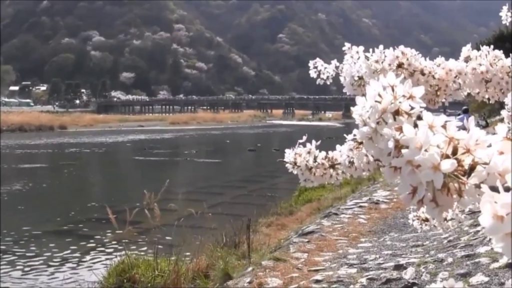 Kyoto Travel Guide（京都）Kinkakuji（金閣寺）Arashiyama