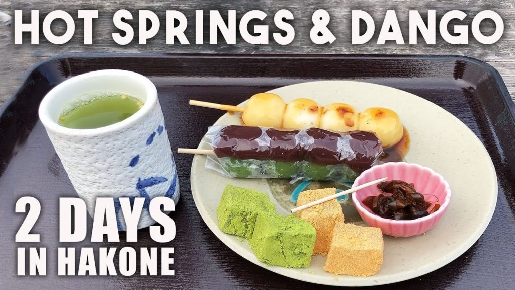 What to Do in Japan | Hakone Tour