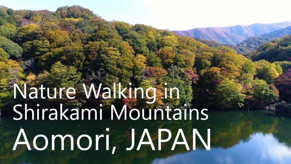 Nature Walking at Juniko Lake in Aomori JAPAN