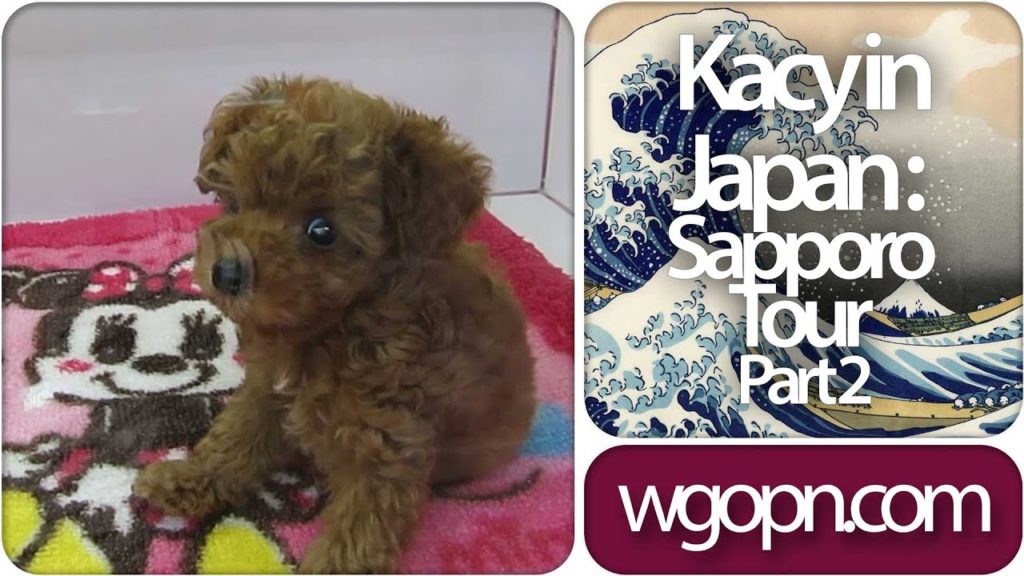 Sapporo Tour Part 2 - Kacy in Japan : wgopn 077