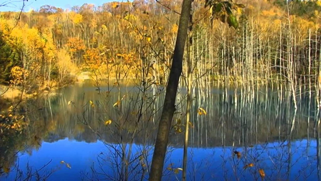 Blue pond in Shirogane Biei town.