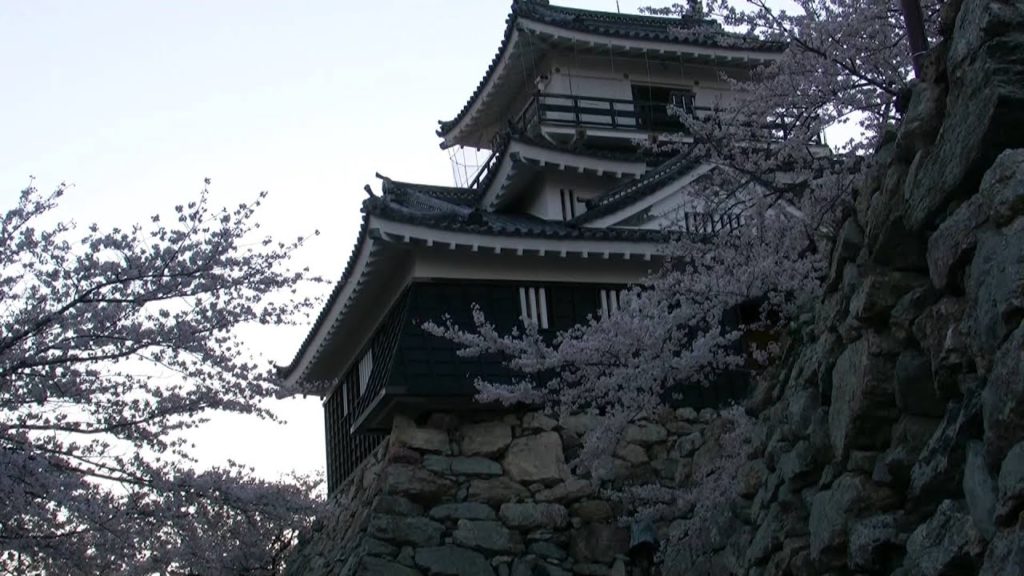 桜・浜松城（出世城）2,Sakura,Hamamatsu-castle,Japan
