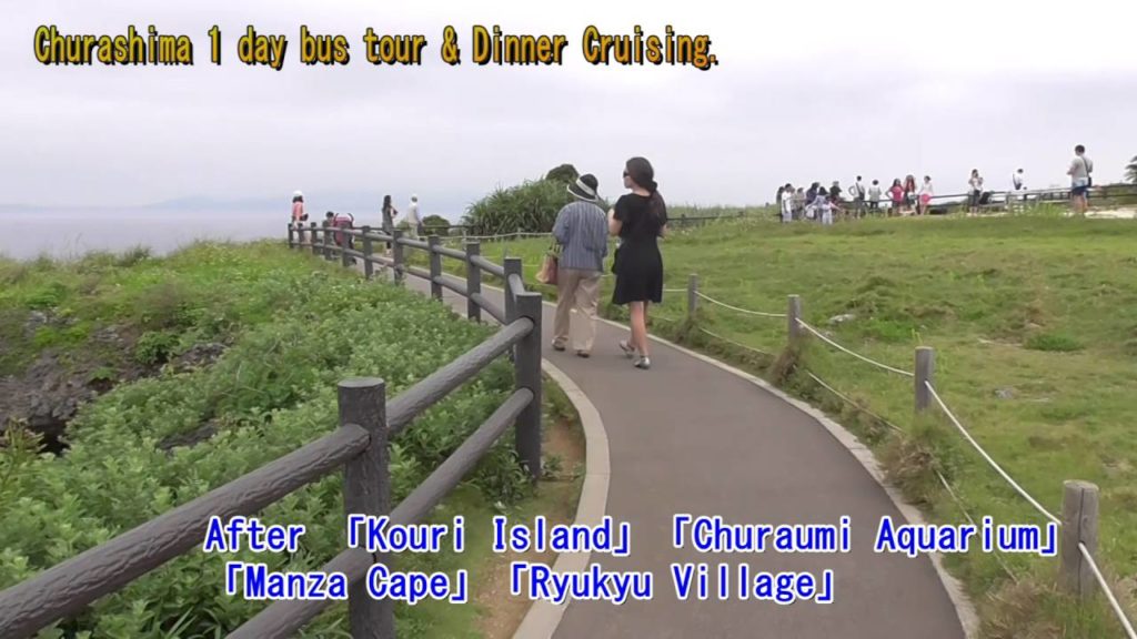 Okinawa One-day Sightseeing Bus Tour & Enjoy the night view of Naha 「Dinner Cruise」