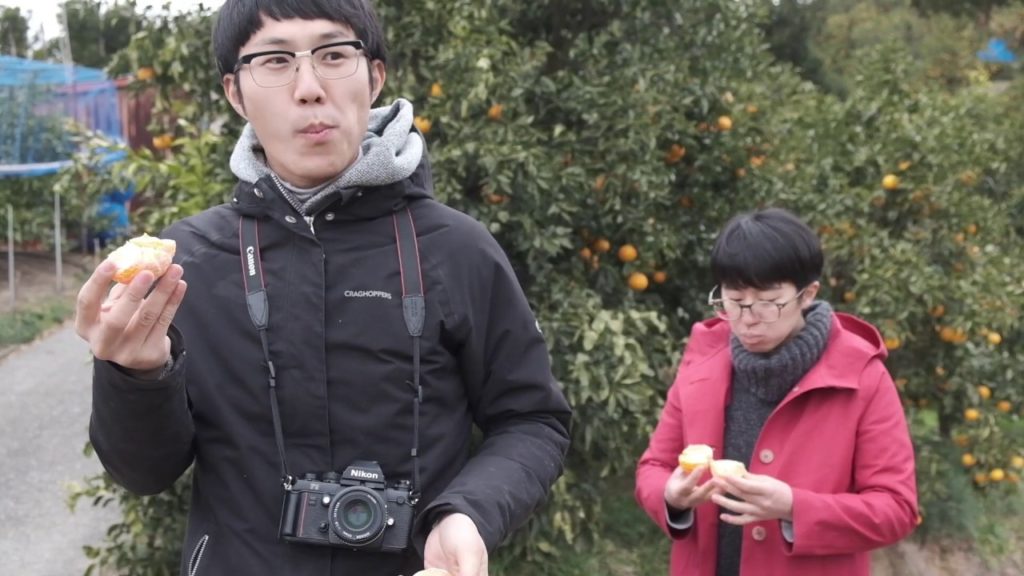 田辺市ファームツアー（和歌山）/  Farm tour in Tanabe-shi, Wakayama, Japan