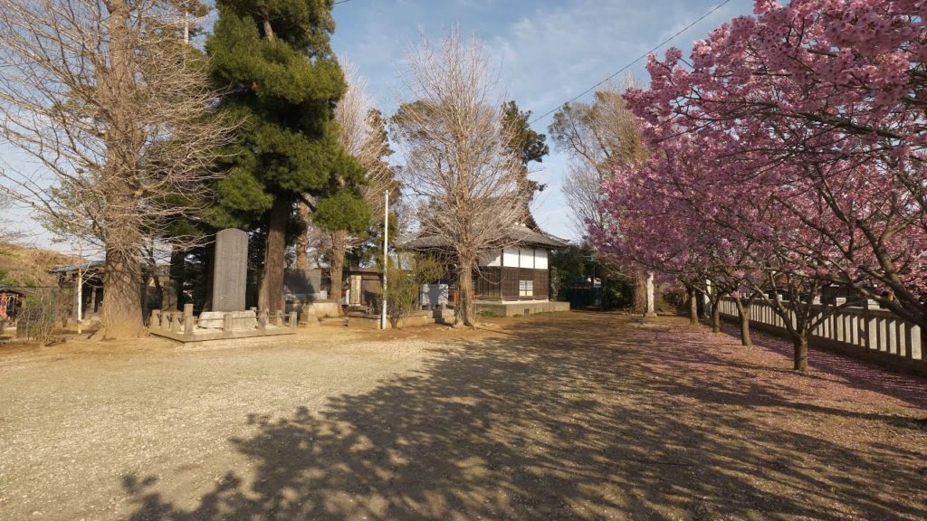 【4K】Walking from Andersen park through Chiba countryside