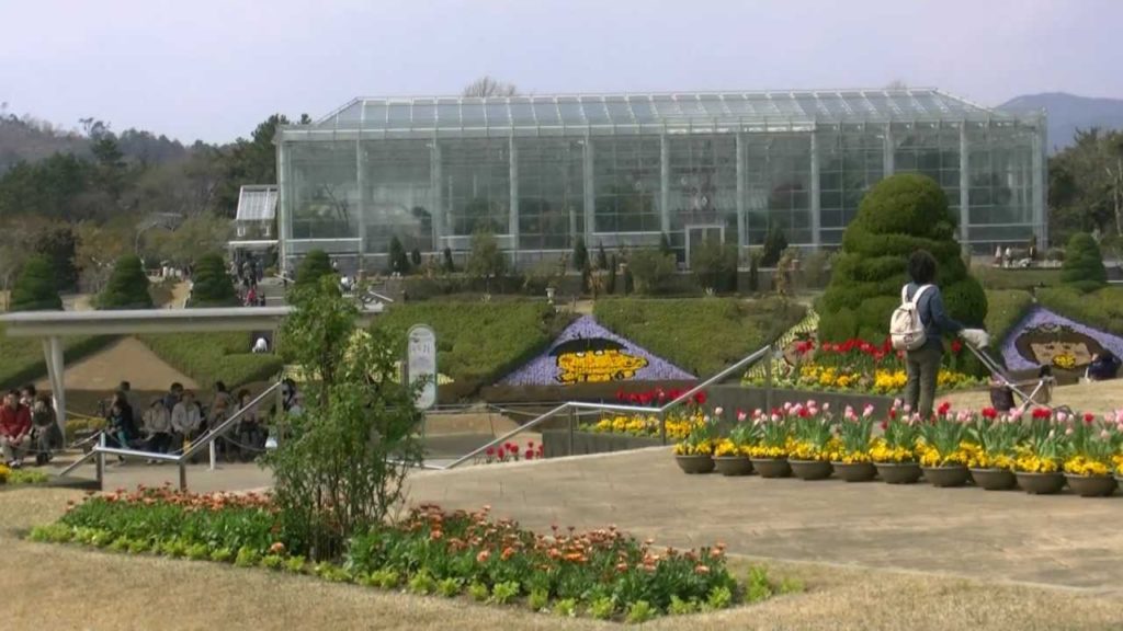 浜松フラワーパーク・桜＆チューリップ祭り14,Sakura＆Tulip festa,Hamamatsu,Japan