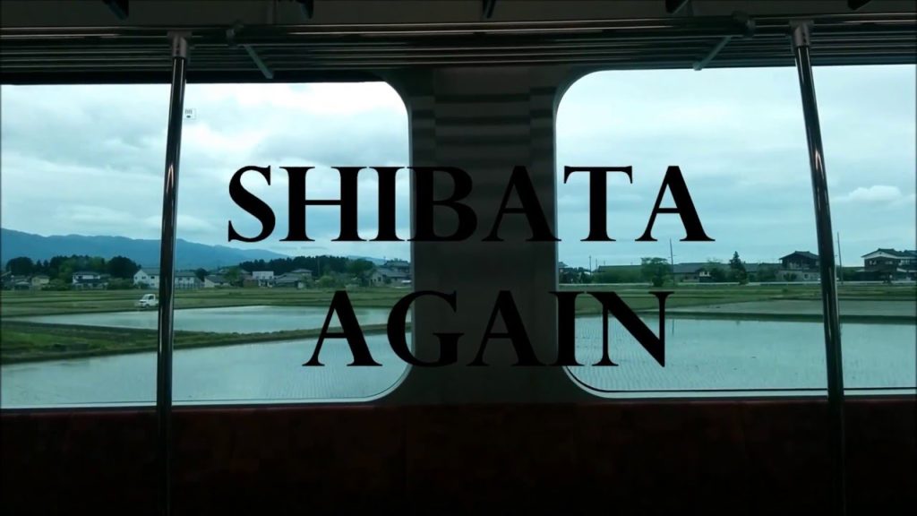 Shibata Again #2 また来た新発田