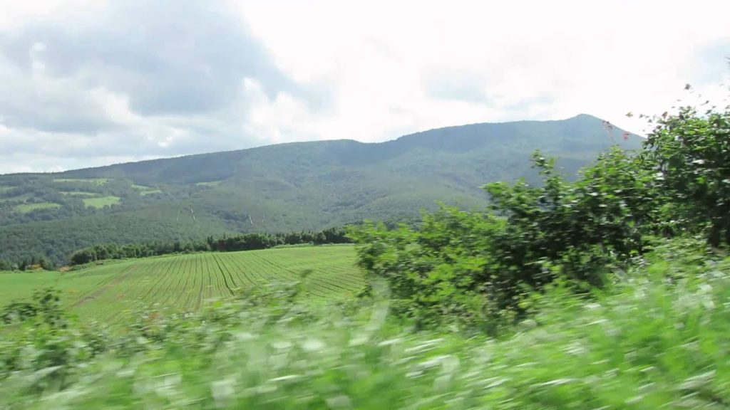 Aomori Countryside Drive