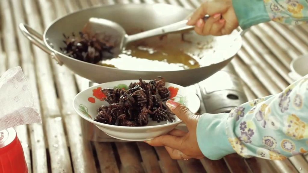 Cooking & Eating Tarantulas