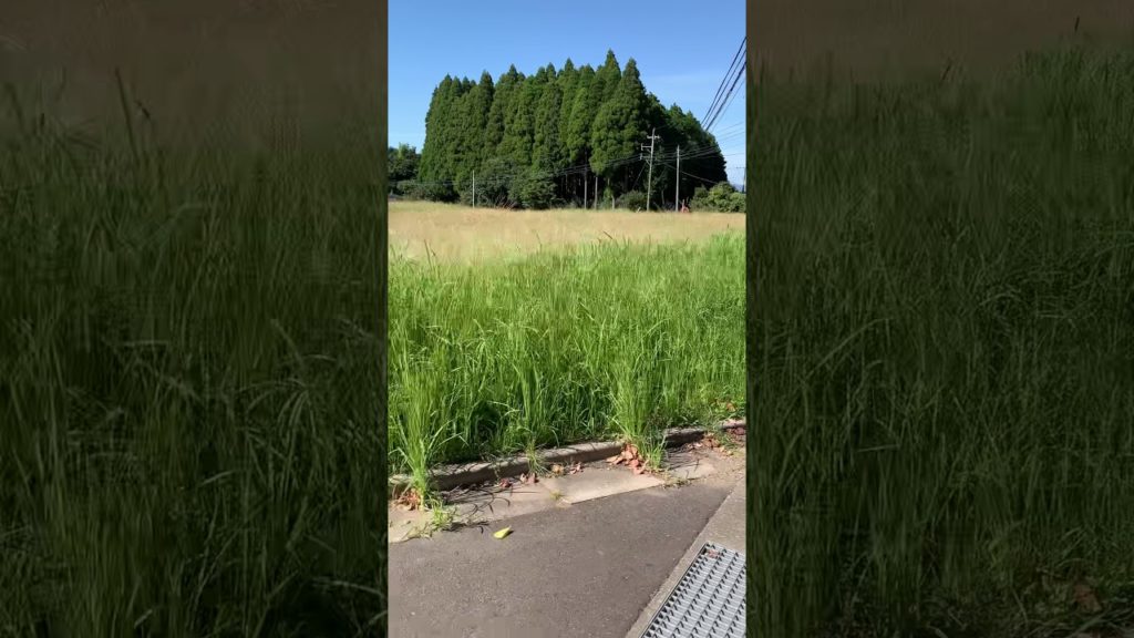 Japan Travel Secluded mountain road