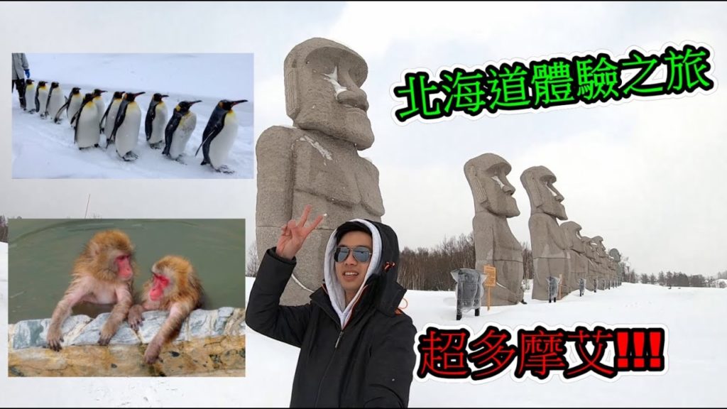 2019 北海道體驗之旅   Hokkaido Travel    札幌雪祭, 企鵝散步, 雪橇犬