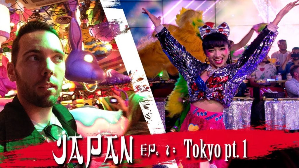 CRAZY TOKYO and THEMED CAFES | Japan Travel Video