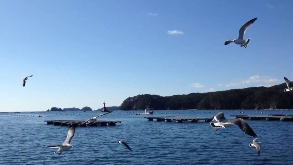 Tohoku Wonder Travel -Ichinoseki, Hanamaki, Kamaishi and Kesennuma