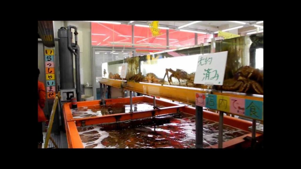 Asaichi (Morning Market) in Hakodate, Hokkaido