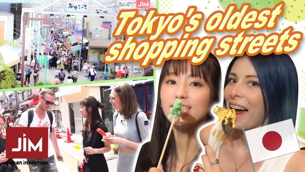 外国人に人気の谷根千をブラリ編【Japan in Motion 2019 #15 】