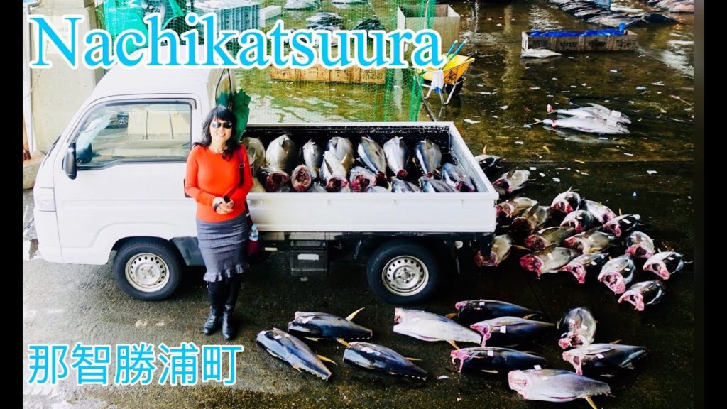 Japan Travel: Nachikatsuura, Kii Peninsula 日本纪伊半岛那智勝浦町 Japan Travel: Nachikatsuura, Kii Peninsula 日本纪伊半岛那智勝浦町