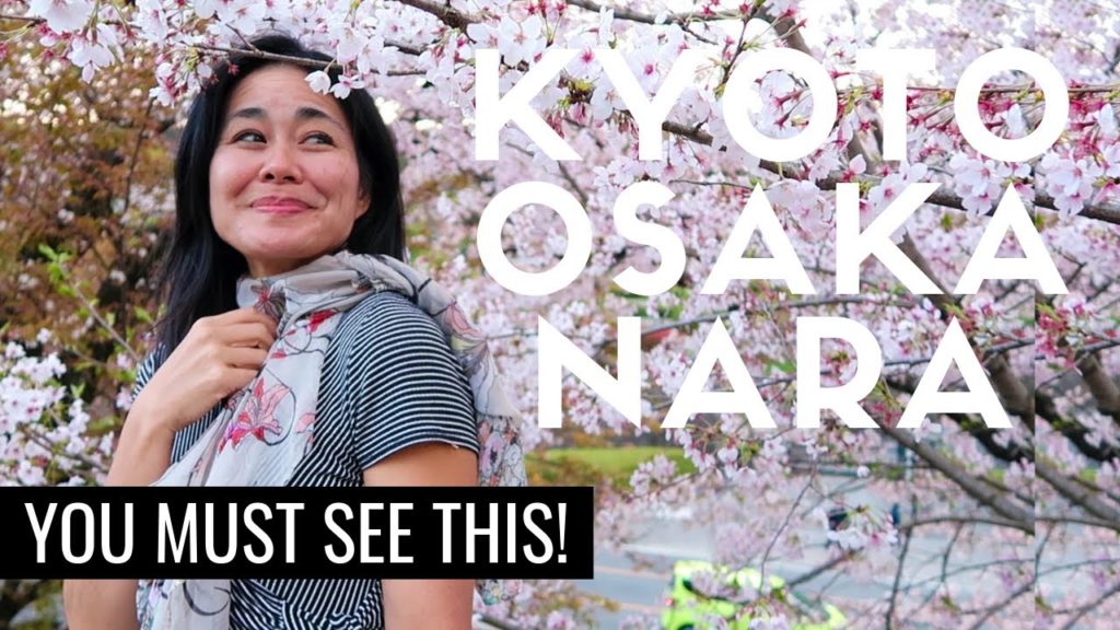 Top 10 CHERRY BLOSSOM SPOTS of KYOTO, OSAKA, NARA | SAKURA IN JAPAN Top 10 CHERRY BLOSSOM SPOTS of KYOTO, OSAKA, NARA | SAKURA IN JAPAN