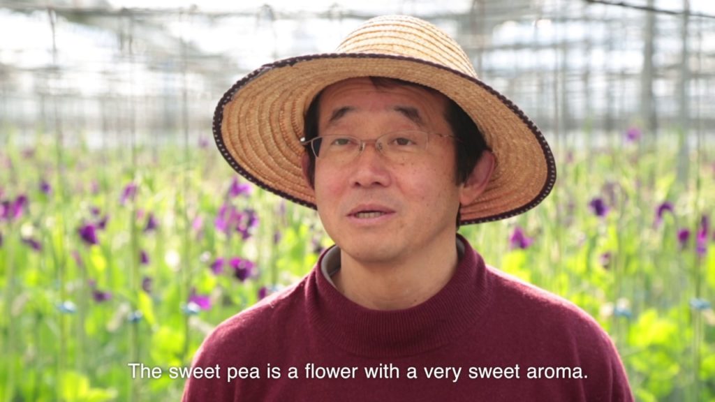 Welcome to  YASASHIKI KURASHIKI