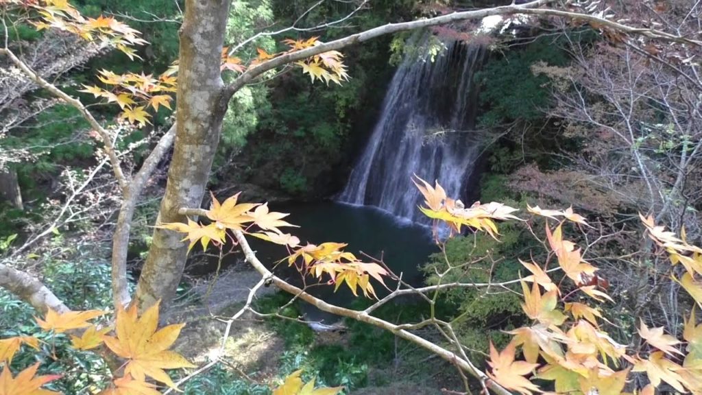 JAPAN'S CHIBA PREFECTURE IN AUTUMN (千葉の紅葉）