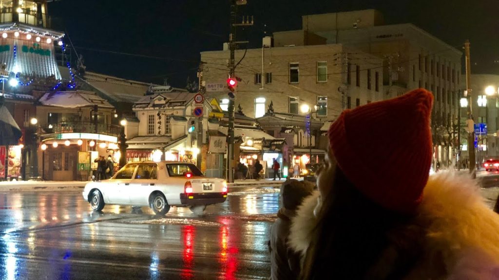 Hokkaido Travel Vlog Ep.5 오타루 운하&삿포로 노르베사 관람차 Otaru canal & Norvesa Ferris wheel 小樽運河＆札幌 ノルヴェサ観覧車