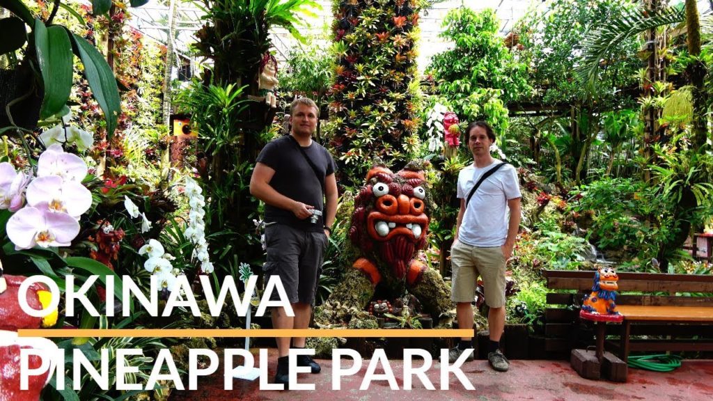 Japan - Okinawa Nago Pineapple Park