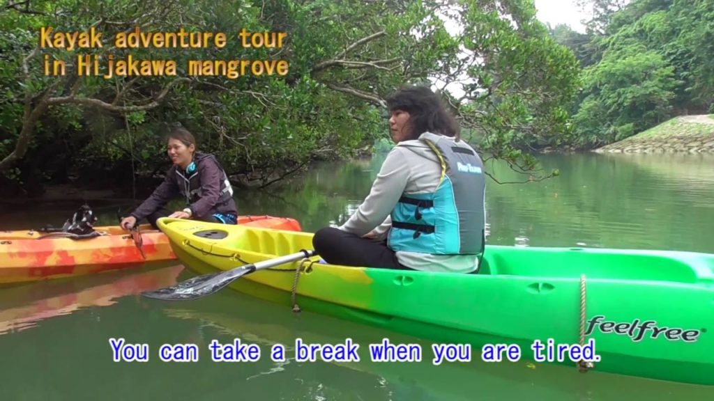 【Depart from Kadena(in the middle of Okinawa】Kayak adventure tour in Hijakawa mangrove.