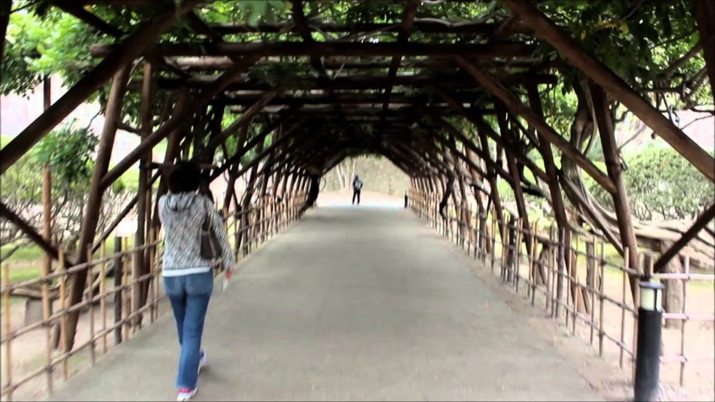 Northern Japan 5 - Hakodate