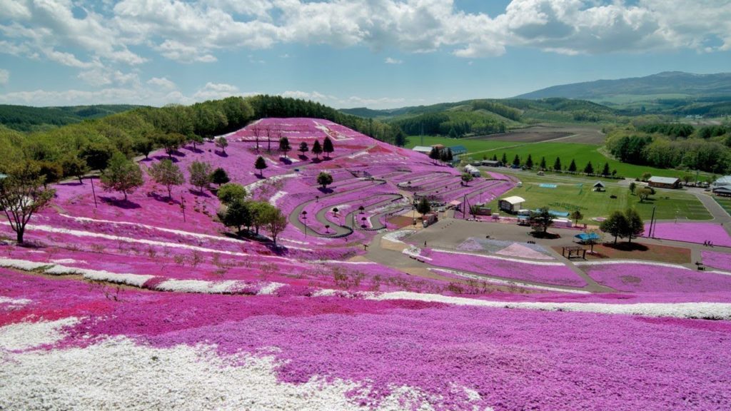 Takasaki Tourist Attractions: 10 Top Places to Visit