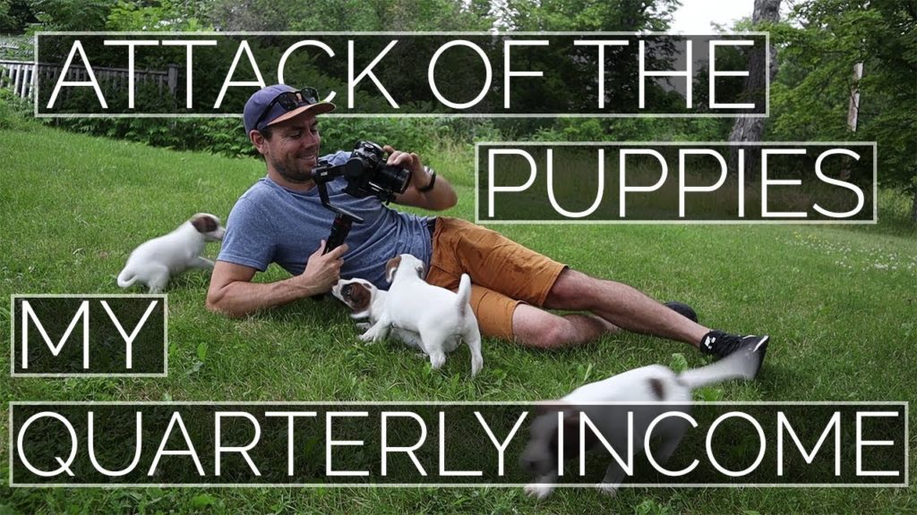 Attack of the Puppies + My Quarterly Income Q2 2019