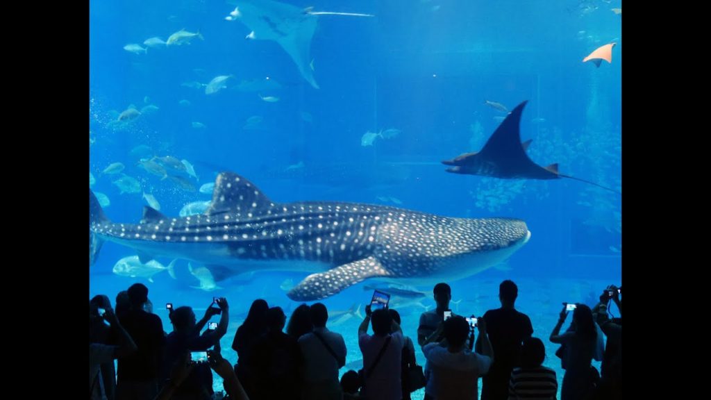 Japan Okinawa Free & Easy 6D5N