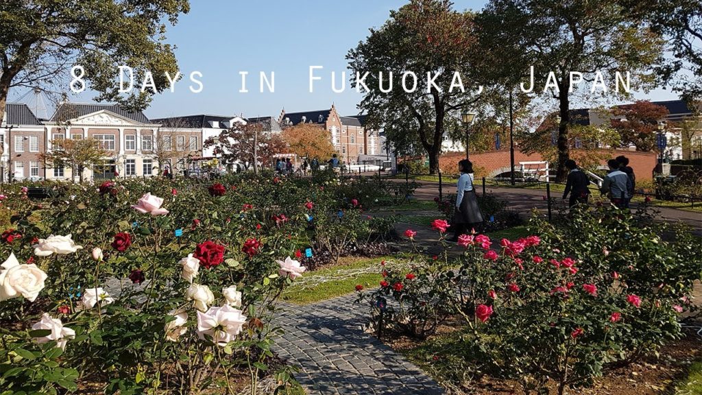 Japan Travel Video | 8 days in Fukuoka, HP Cafe, Yanagawa, Saga, Tenjin, Hakata