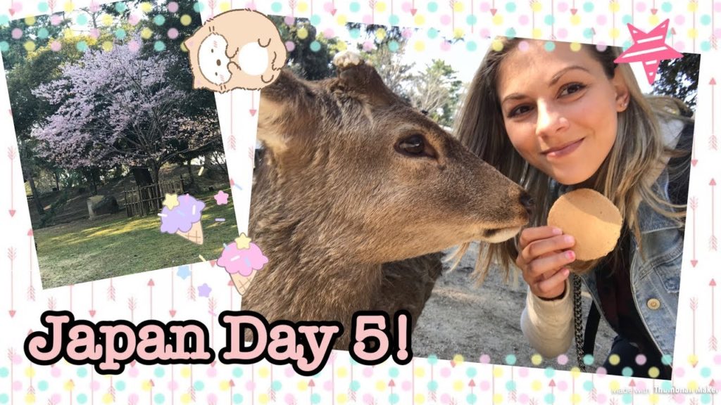 Nara Deers Wouldn't Eat My Snacks!  | Japan Day 5