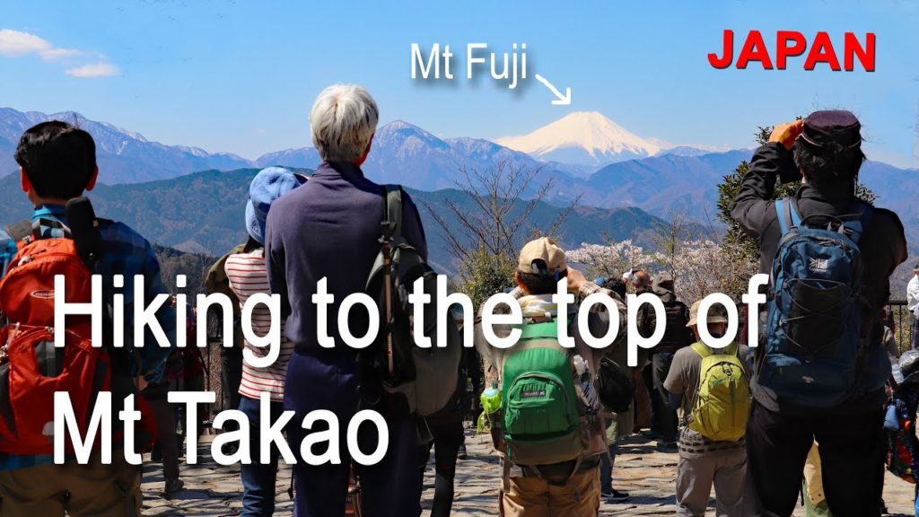 Hiking 599 Metres up Mount Takao to see Mt Fuji Hiking 599 Metres up Mount Takao to see Mt Fuji