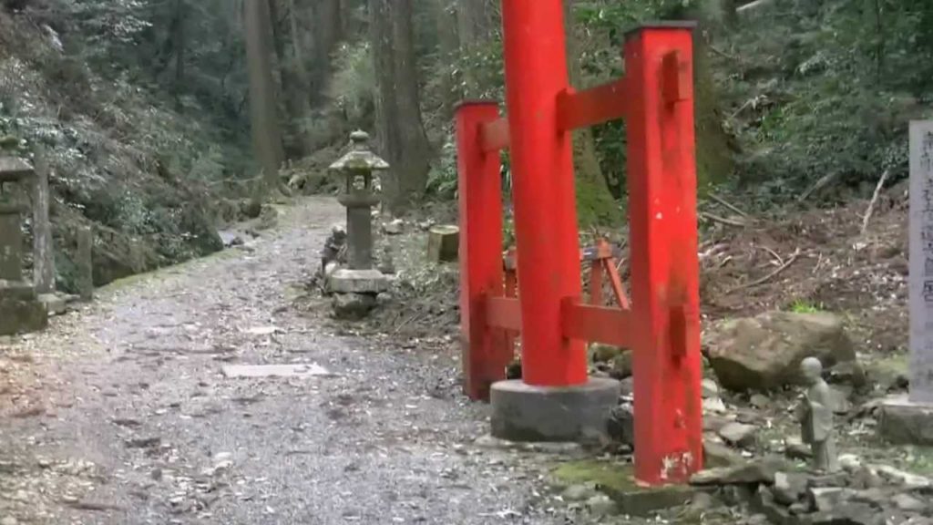 桜・臨済宗方広派本山・方広寺1(浜松市奥山),Sakura,Hoko-temple,Hamamatsu,Japan 桜・臨済宗方広派本山・方広寺1(浜松市奥山),Sakura,Hoko-temple,Hamamatsu,Japan