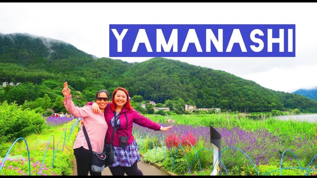 Tutoristas in Japan: Yamanashi