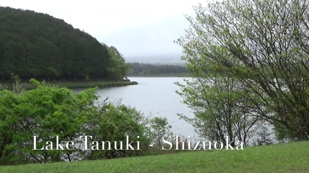 lake tanuki - shizuoka, japan