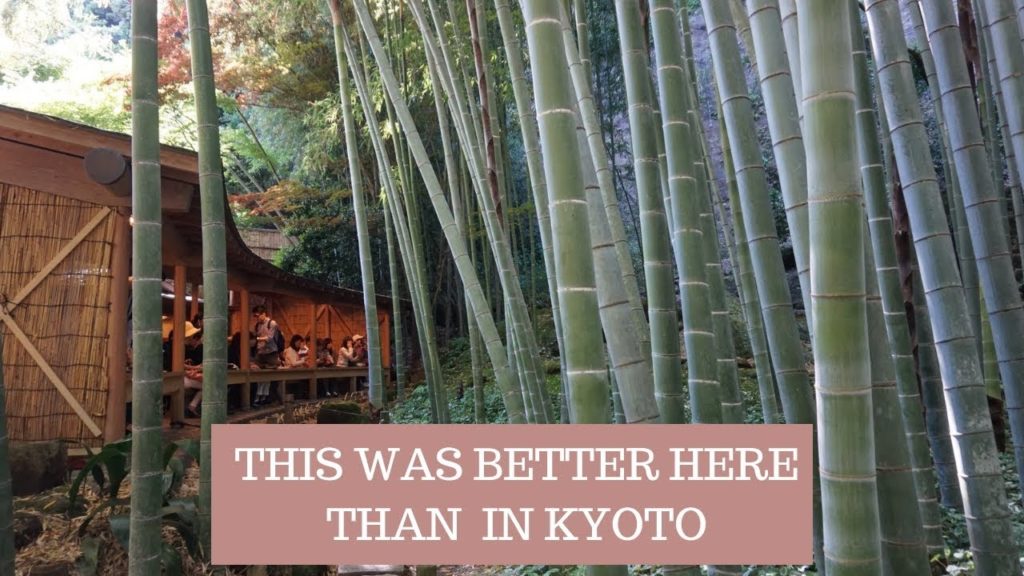 MUST DO DAY TRIP FROM TOKYO (KAMAKURA) MUST DO DAY TRIP FROM TOKYO (KAMAKURA)